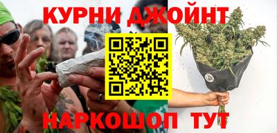 шишки Жуковский