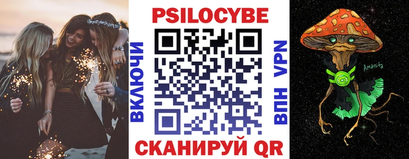 купить наркотики цена Кудрово Псилоцибиновые грибы мицелий