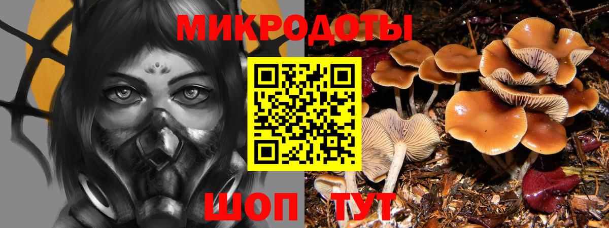 Псилоцибиновые грибы MAGIC MUSHROOMS  Кудрово  Псилоцибиновые грибы Psilocybe 