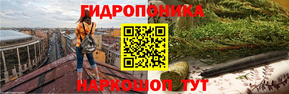 Марихуана семена  Вход с VPN  Бошки Шишки марихуана  Канабис ГИДРОПОН  Кудрово 